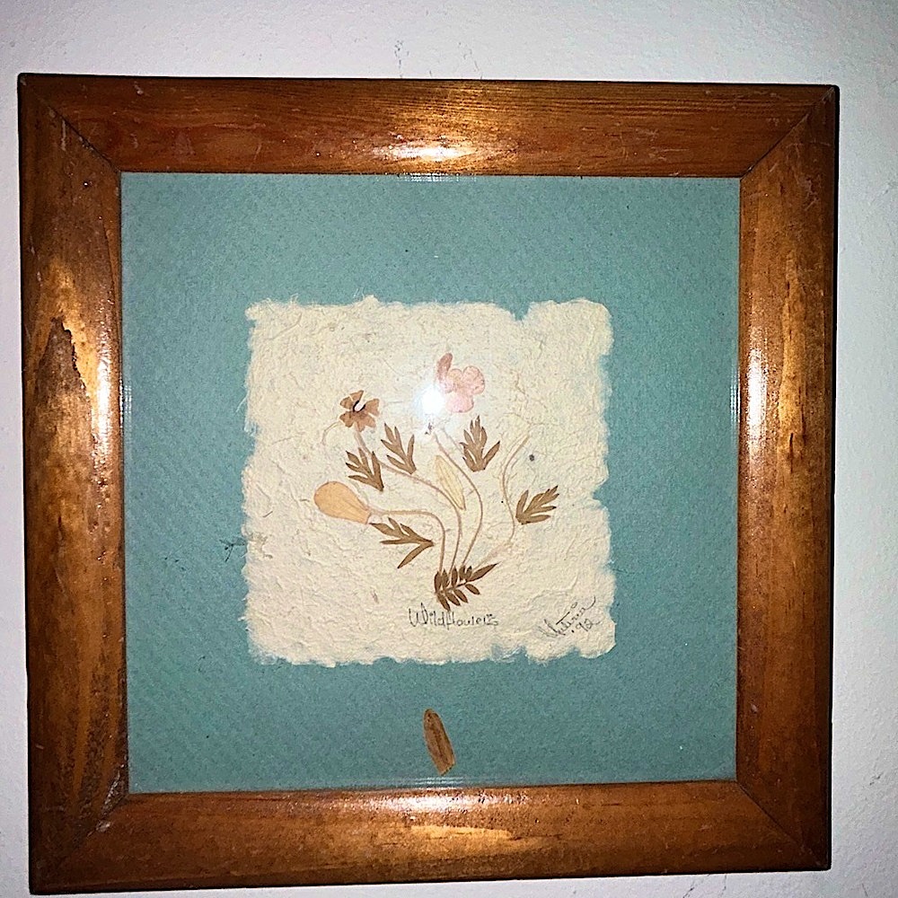 Vintage Framed Pressed Flowers Wall Art